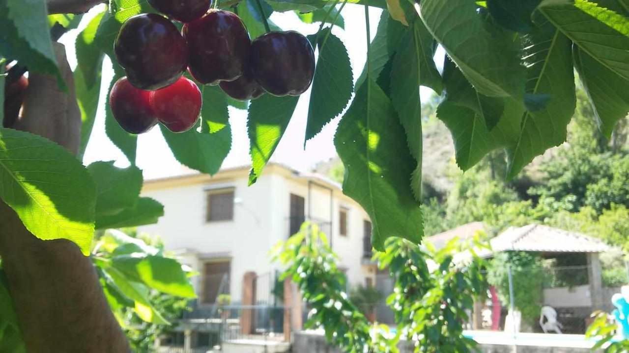 Casa Rural Las Huertas De Roque Monachil Ngoại thất bức ảnh