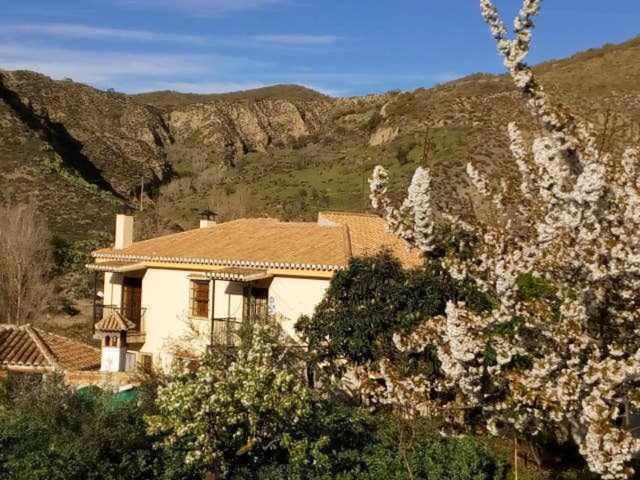 Casa Rural Las Huertas De Roque Monachil Phòng bức ảnh