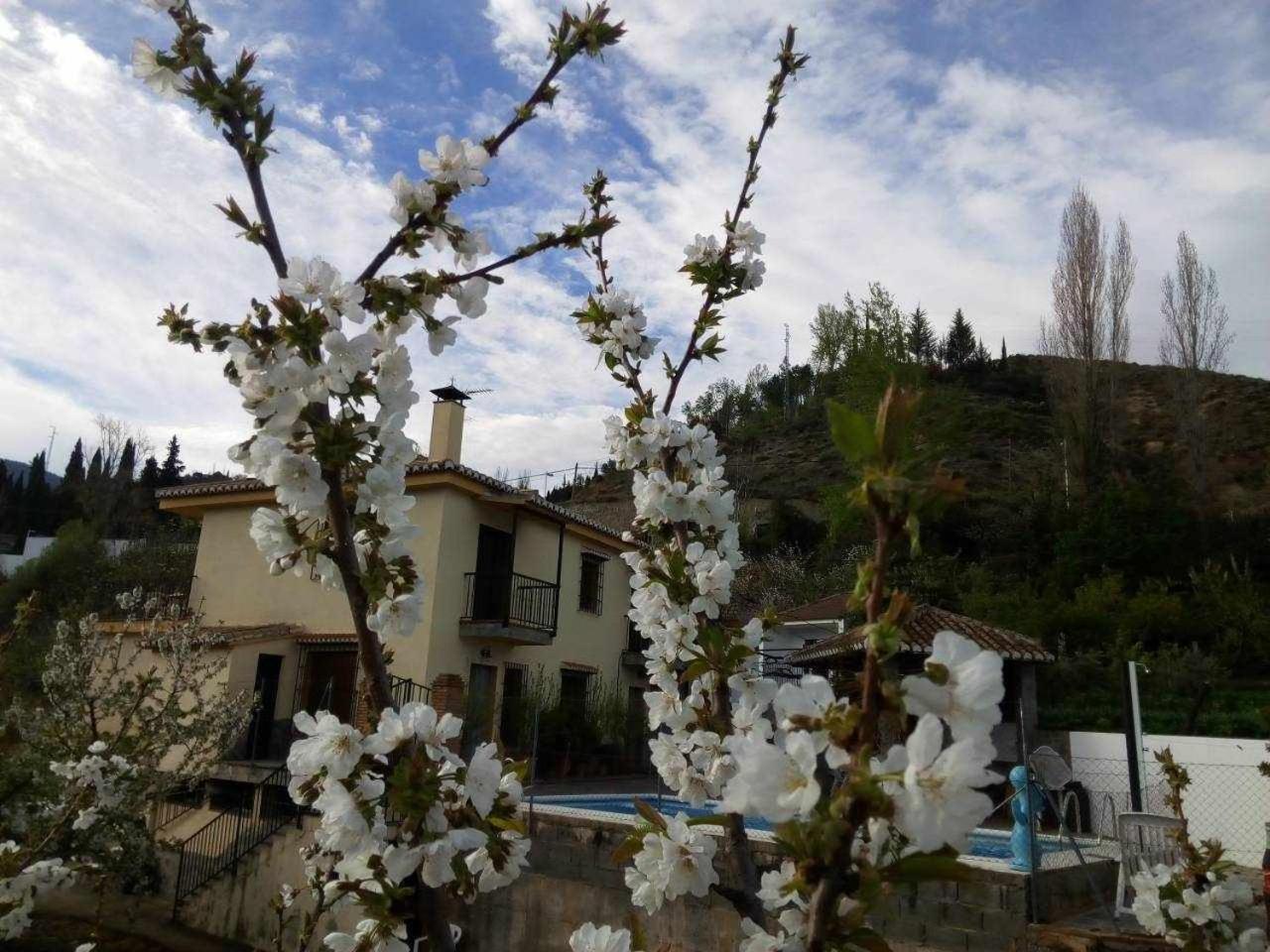 Casa Rural Las Huertas De Roque Monachil Phòng bức ảnh