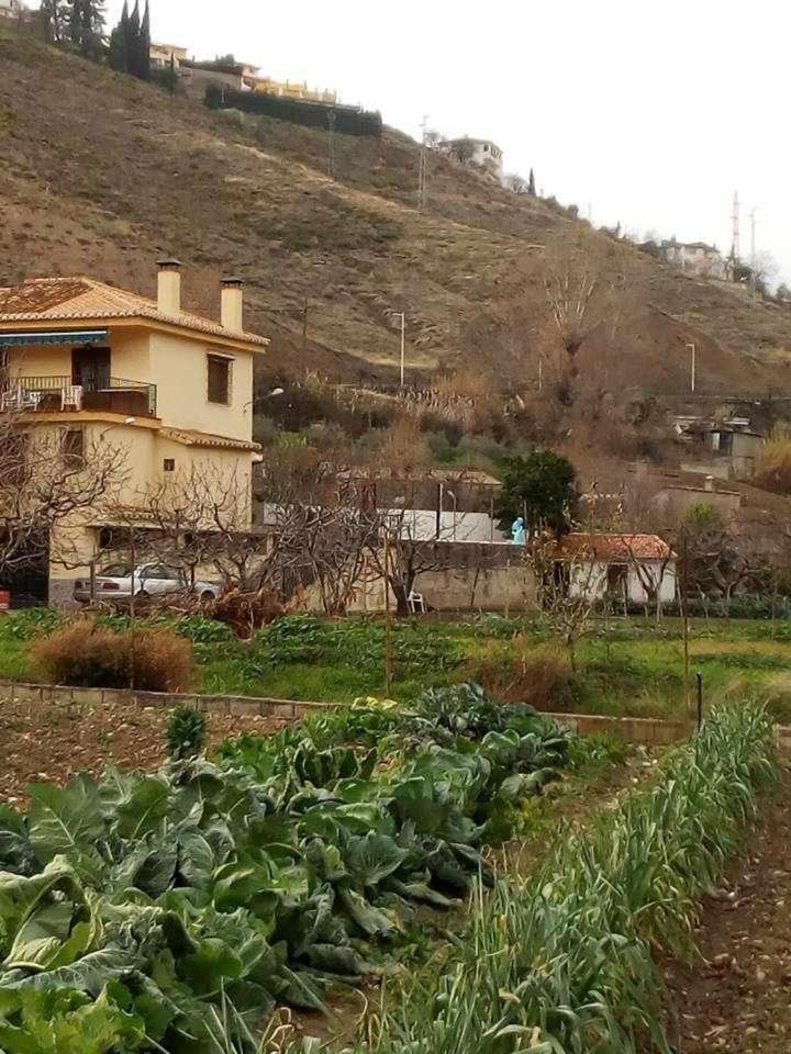 Casa Rural Las Huertas De Roque Monachil Phòng bức ảnh